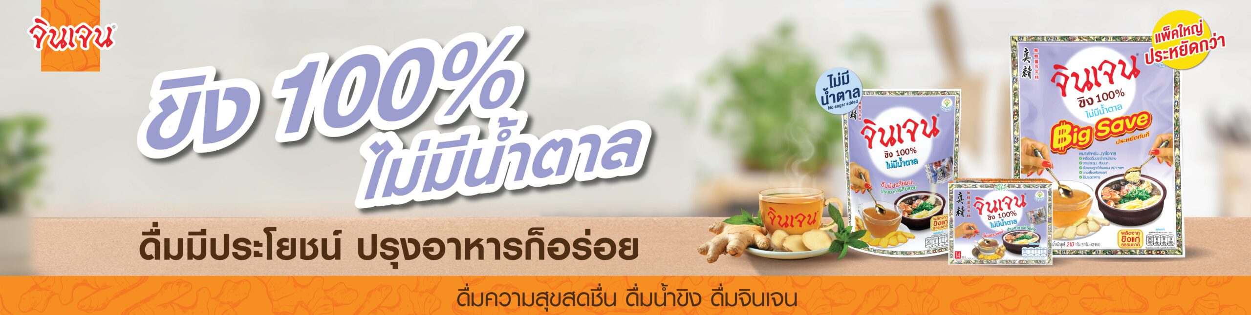Banner - Ginger 100%-01